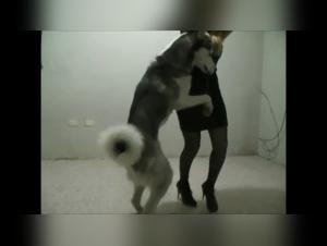 impulsi di animali, milf selvaggio e sesso proibito