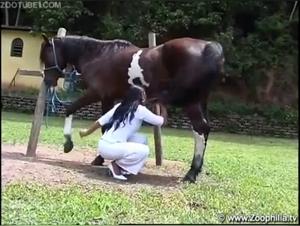 Bestiality sex video with a woman and a horse