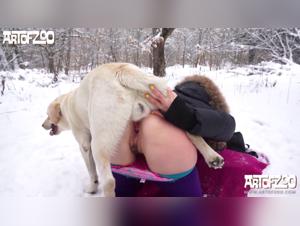 Diving into the Forbidden Realm of Zoophilia