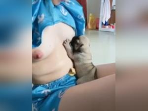 Dog breastfeeding and extreme sex