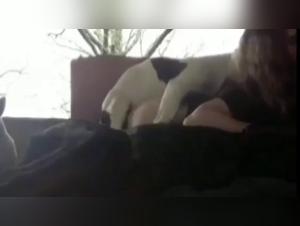 Bestiality sex video with a girl and her dog