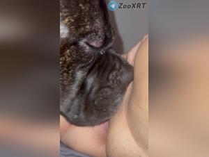 Zoofilia Fetish, esplora il piacere proibito