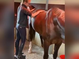 Femme et Cheval: Une Rencontre Interdite