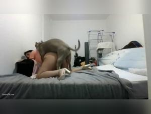 A dog owner gets screwed by her pet in a xxx video