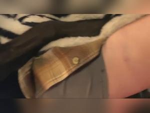 Discover the pleasure of zoophilia with this dog sex video