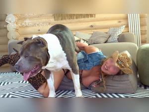Unmistakable canine domination