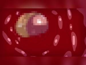 Hentai Animation of Sex with a Dog