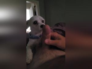 Tickzoo Porn: Blurring the Lines