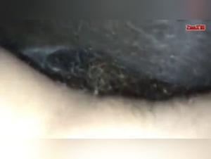 Discover the pleasures of bestiality with a horse