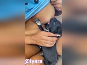 Sex with Animals: A Unique Bestial Experience