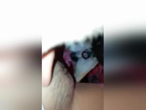 Allenamento osceno: dominio canino e impulsi adolescenti