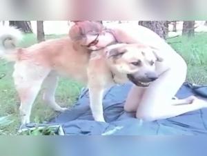 Dog sex video: experience the extreme