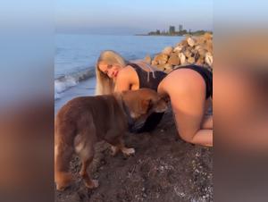 'ZooSchool' Exploration: Where Learning Turns Into Sensation