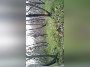 Etica del Sexo Animal: Un Analisis Profundo de las Complejidades