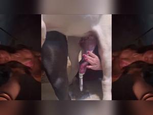 Doppelte Penetration und unkontrollierbare Ejakulation in diesem verruckten PMV Go Dumb