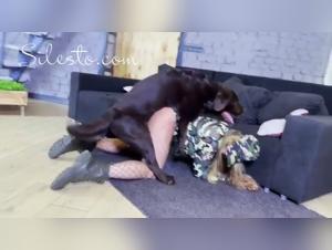 Die geile Beziehungen zwischen Hunden und Frauen: extremer Zweisamkeit