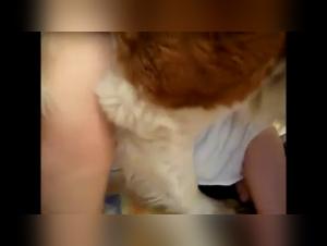 Discover the Ecstasy of Bestiality in this Amateur Video