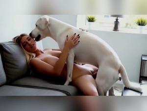 canine missionary, technological eroticism and animal