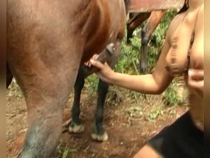 Zoophilia video with a black woman and a horse