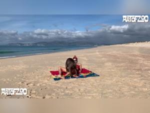 Sex Videos with Dogs: A Unique Experience