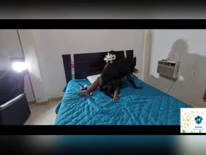 Discover the Black Abyss: Canine Domination and Unimaginable Debauchery