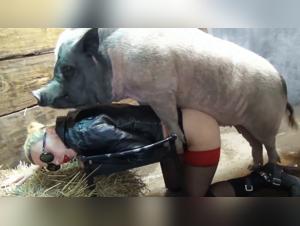 Animal Immersion and Extreme Experimentations