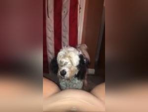 Bestiality Sex Video with a Dog
