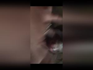 An Extreme Sexual Experience with a Dog