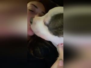 Esplorazione proibita: cane, donna e piacere estremo