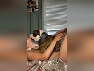 An afternoon of training that turns into a zoophilia video