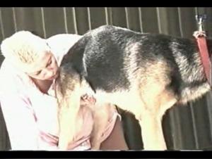 Bestiality and Passion: A Woman and Her Dog