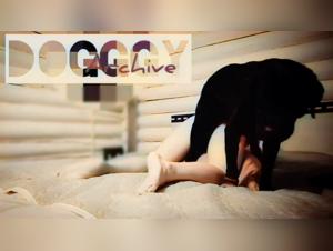 Dog Sex Video - Discover the World of Bestiality