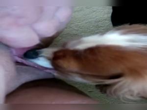 Discover the Ecstasy of Zoophilia