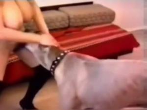 Extreme dog sex video