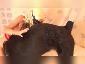 Esplorando l'abisso: orge bestiali e amore incontrollato K9