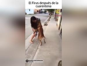 Video of Extreme Zoophilia with a Woman and her Dog