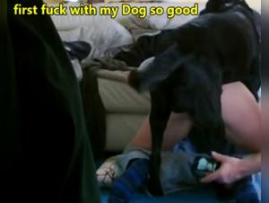 Hundeherrschaft
