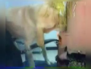 Woman and Dog - A Sexual Encounter