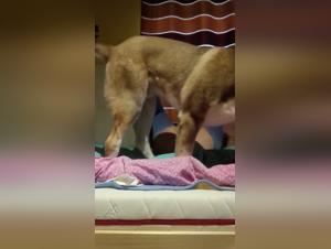 Exploring Ethical Nuances