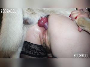 Doppia penetrazione bestiale con Yasmin Red e il suo compagno canino