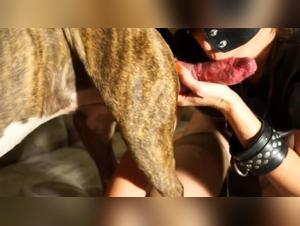 Zooskool, Bokep Zoo - Russian beauties indulge in wild desires.