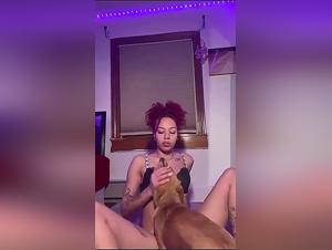 exploration of zoofilia