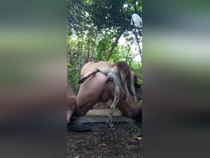 hound licks woman, ticzoo & ethical dilemma