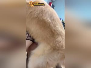 Scatena i tuoi desideri piu oscuri: cani, donne e scene di sesso hardcore senza limiti.
