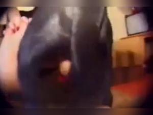 Bestiality sex videos with dogs