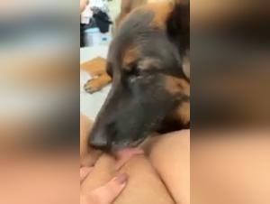 Sex video with a dog: a passionate encounter