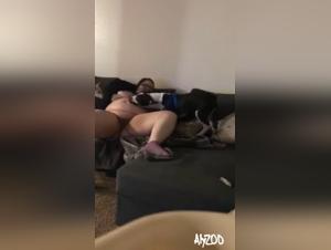 Dog Sucking, Unveiling Taboo Acts
