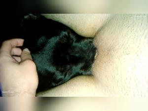 Bestiality Video: A Woman and Her Dog