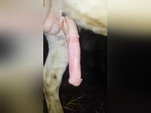 A forbidden love story between a woman and her horse