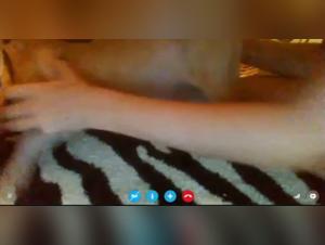 Bestiality Sex Video: Innocent Girl Sucks Dog Live